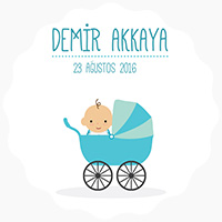 Demir Akkaya