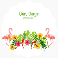 Dudu Gergin
