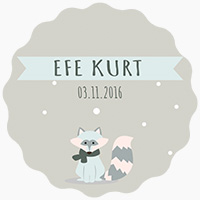Efe Kurt