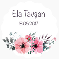 Ela Tavşan