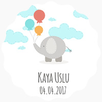 Kaya Uslu