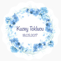 Kuzey Toklucu