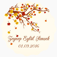 Zeynep Eylül Şimşek