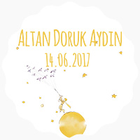 Altan Doruk Aydın