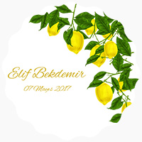 Elif Bekdemir
